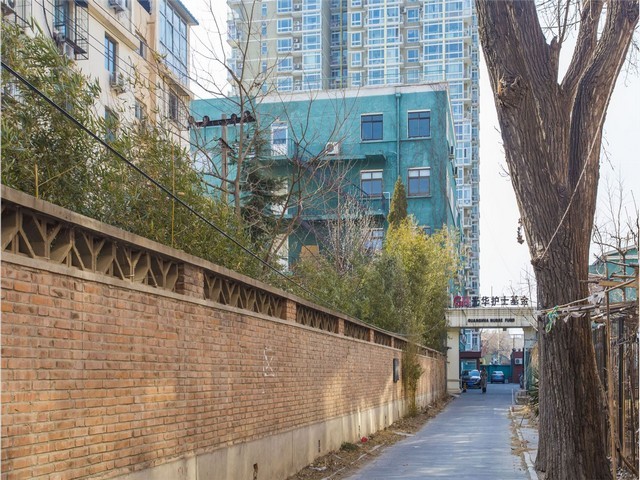 广西动作捕捉相机系统供应商